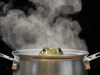 Náš mozog je ako variaca sa žaba: AI postupne nahlodáva našu vytrvalosť bez toho, aby sme si to všimli