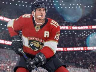 EA ich ignorovala, tak si to spravili sami! NHL si po dlhých rokoch môžeme opäť zahrať na PC