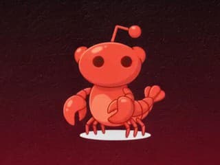 Od nadšenia k panike: Nová sociálna sieť namiesto budúcnosti priniesla masívny únik dát