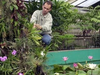 Pozor na zmenu: Botanická záhrada UK od zajtra skracuje otváracie hodiny, čoskoro zatvorí úplne
