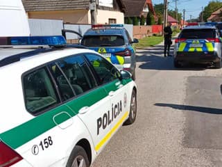 AKTUÁLNE ŤAŽKÁ ČELNÁ ZRÁŽKA: Vyslali záchranárov, cesta je neprejazdná