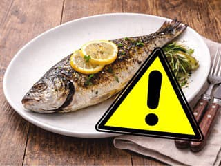 UPOZORNENIE ÚRADU Tieto RYBY nejedzte! Obsahujú mimoriadne škodlivé látky, spôsobujú RAKOVINU