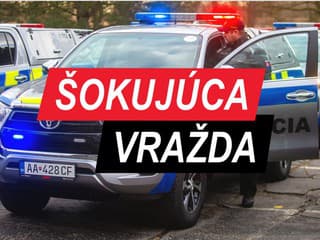 ŠOKUJÚCA VRAŽDA mamičky aj s jej bábätkom: Zatkli úspešného slovenského vedca! Mrazivé zistenia