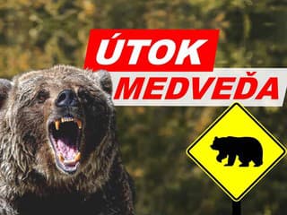 KRVAVÝ ÚTOK medveďa na bežca: Šelma ho hrýzla, silno krvácal, prišiel ďalší šok! Mrazivé SVEDECTVO boja o život