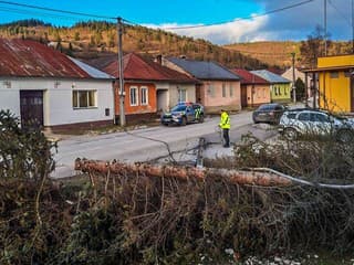 AKTUÁLNE Vyčíňa SILNÁ VÍCHRICA: Padajú stromy, zastavili lanovky, ľudia sú bez elektriny