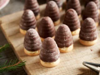 Osie hniezda: Ako ich pripraviť? Odskúšaná verzia cesta a plnky