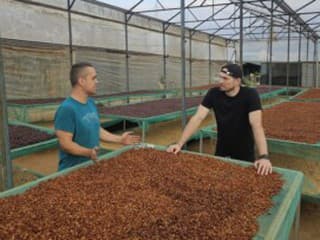 Kávová revolúcia vo Vietname: Éru robusty strieda specialty arabica – a READY AFTER bol pri tom