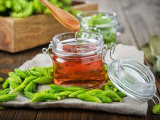 Sirup zo smrekových výhonkov: Ako ho robili naše staré mamy?