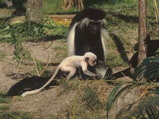Vedci si roky mysleli, že je obyčajná: Pravda ich prekvapila až po detailnom skúmaní