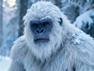 Mýtus z Himalájí alebo posledné veľké tajomstvo ľudstva? K slovu sa dostali aj psychológovia