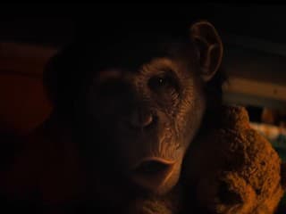 Domáci miláčik, ktorý sa zmení na monštrum: Do kín prichádza očakávaný a desivý horor