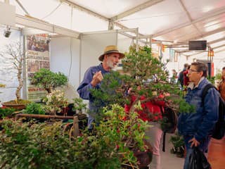 Získajte cenné rady pre svoju kariéru priamo na veľtrhu Záhradkár v Trenčíne