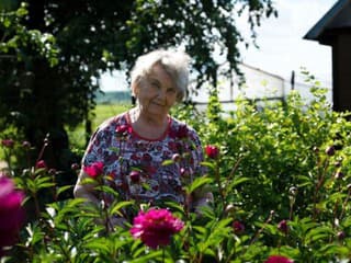 Ak pestujete rastliny našich babičiek a chytáte vodu do sudov, ste v kurze! Záhradné trendy 2026 sú naozaj rozumné