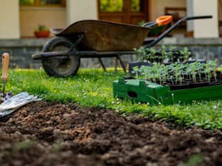 Týmto spôsobom môžete vypestovať chutnú zeleninu a netreba ani rýľovať! Prečo je metóda no-dig podľa záhradkárov taká dobrá?