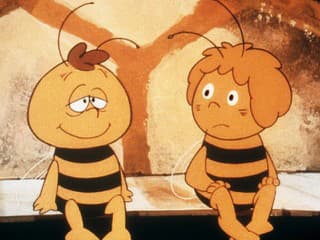 Milujú ju celé generácie Slovákov: Pozrite sa, ako vyzerá Včielka Maja v realite!