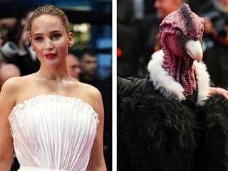 Červený koberec z Cannes: Promi mamina ohúrila a... Preboha, toto čudo tam pustili?!