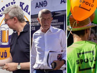 Lacné potraviny sľubujú aj českí politici: Majú ich návrhy šancu na úspech?