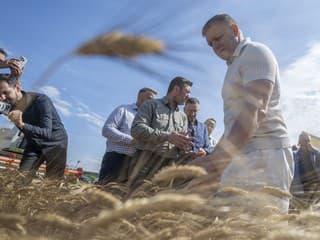 Horúčavy a sucho ohrozujú žatvu: Fico z poľa avizuje obrovskú sumu do závlah a hrozí vetom v EÚ! (foto)