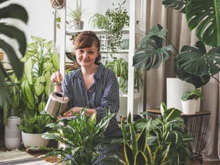 Prineste Rok Koňa do domácnosti: 4 zásady, ktoré podporia energiu, slobodu a hojnosť