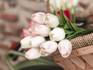 Rezané cibuľoviny vám vydržia vo váze o čosi dlhšie: Stačí len vedieť, čo pre to urobiť