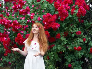 Tieto obľúbené rastliny záhradníci odmietajú: Prečo sa im pri výsadbe radšej vyhýbajú?