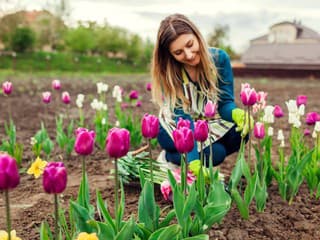 V apríli je v hre budúca úroda: Čo rozhoduje o úspechu a neúspechu v záhrade?