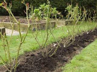 Február je zlomovým obdobím pre vašu záhradu: Svetoznámy odborník radí, na čo netreba zabúdať pred jarným prebudením