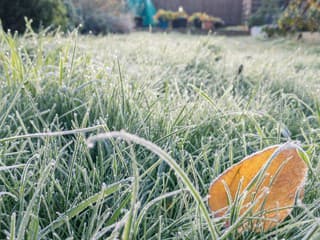 Ako vrátiť trávniku silu, hustotu a sviežu farbu? Prebuďte ho po zime k životu