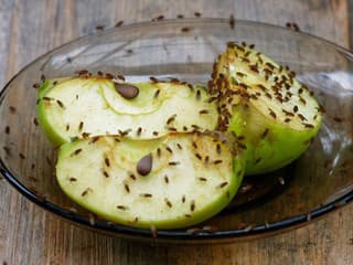 Letní votrelci: Čo naozaj funguje proti ovocným muškám a komárom?