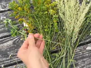 VIDEOTIP Ako vytvoriť nádhernú kyticu? Dve floristické techniky, ktoré musíte poznať