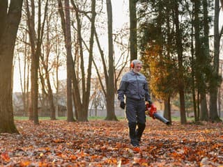 Chladný november nie je prekážkou pre záhradkára: Nezabudnite na posledné práce v záhrade