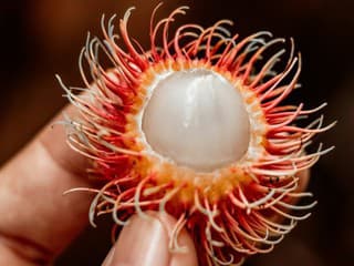 Vyzerá ako chlpaté vajíčko, no vo vnútri ukrýva sladké prekvapenie: Rambután posilní imunitu a ochráni bunky