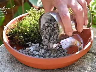 VIDEOTIP Užitočná záhradná dekorácia, ktorá vás nebude stáť ani cent: Originálny hmyzí domček