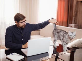 Nerozumiete zvláštnym prejavom svojej mačky? Prezradíme vám, čo sa za nimi skrýva