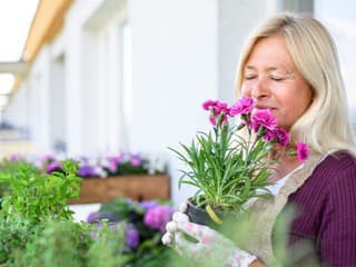 Balkón ako rozkvitnutá záhrada: Tieto kvety ho premenia na oázu