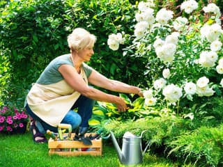 Rok 2026 prináša revolúciu v záhradách: Najväčšie záhradnícke trendy, ktoré ovládnu nasledujúce mesiace