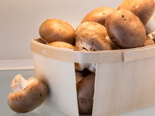 Kam uložiť čerstvé HUBY po nákupe? Na tomto detaile záleží