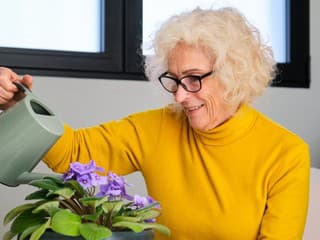Jednoduché, no pre mnohých ťažké: Väčšina ľudí nesprávne zalieva svoje izbové rastliny, ako na to?