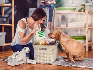 Upratovanie, ktoré škodí domácim miláčikom: Kedy viac čistoty neznamená bezpečný domov?