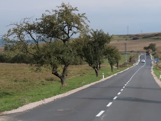 Na Záhorí sa začína oprava úseku cesty I. triedy