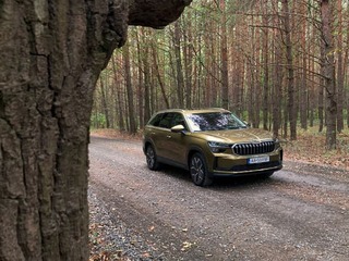 TEST: Škoda Kodiaq – medveď hnedý. Flintu, či medailu?