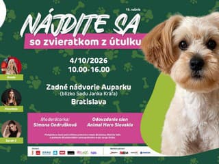 Útulky z celého Slovenska mieria do Bratislavy! Najväčšie adopčné podujatie Nájdite sa je späť už túto nedeľu
