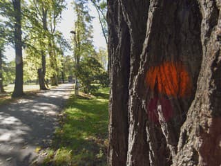 Mestský park na Tajovského ulici v Banskej Bystrici opäť otvorený: Vieme, čo sa zmenilo a čo ešte čaká návštevníkov