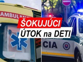 SUROVÝ ÚTOK Partia 5 mužov zaútočila NA DETI. Bili ich aj palicami, sú ranené. Šok, čo im ešte chceli spraviť