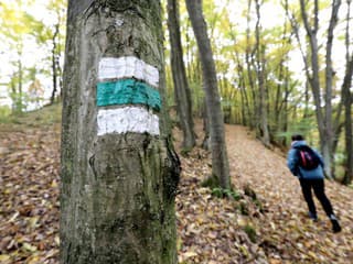 Nový náučný chodník Babka medzi Veľkým Krtíšom a Modrým Kameňom: Čo všetko tu objavíte?