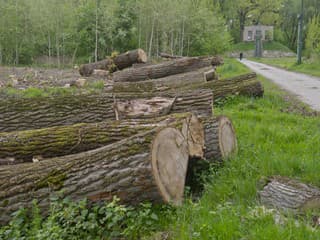 Unikátne plavenie dreva pri Banskej Bystrici: Lesníci otvárajú sezónu vo vodnom žľabe Rakytovo