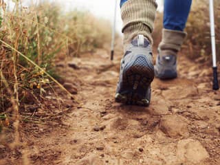 Na Poľane otvoria turistickú sezónu novinkou: Poznávanie tradičnej kultúry aj pozorovanie zvierat