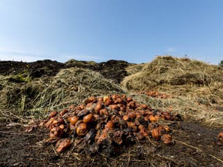 Mesto Skalica hľadá nového prevádzkovateľa kompostárne – ponuky prijímajú do januára