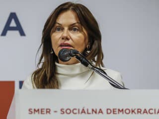 Dotácie pre slovenských farmárov ohrozené nie sú, tvrdí europoslankyňa Beňová