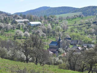 Brdárka láka na Čerešňové dni: Kvitnúce sady, miestne dobroty a zaujímavý program už tento víkend
